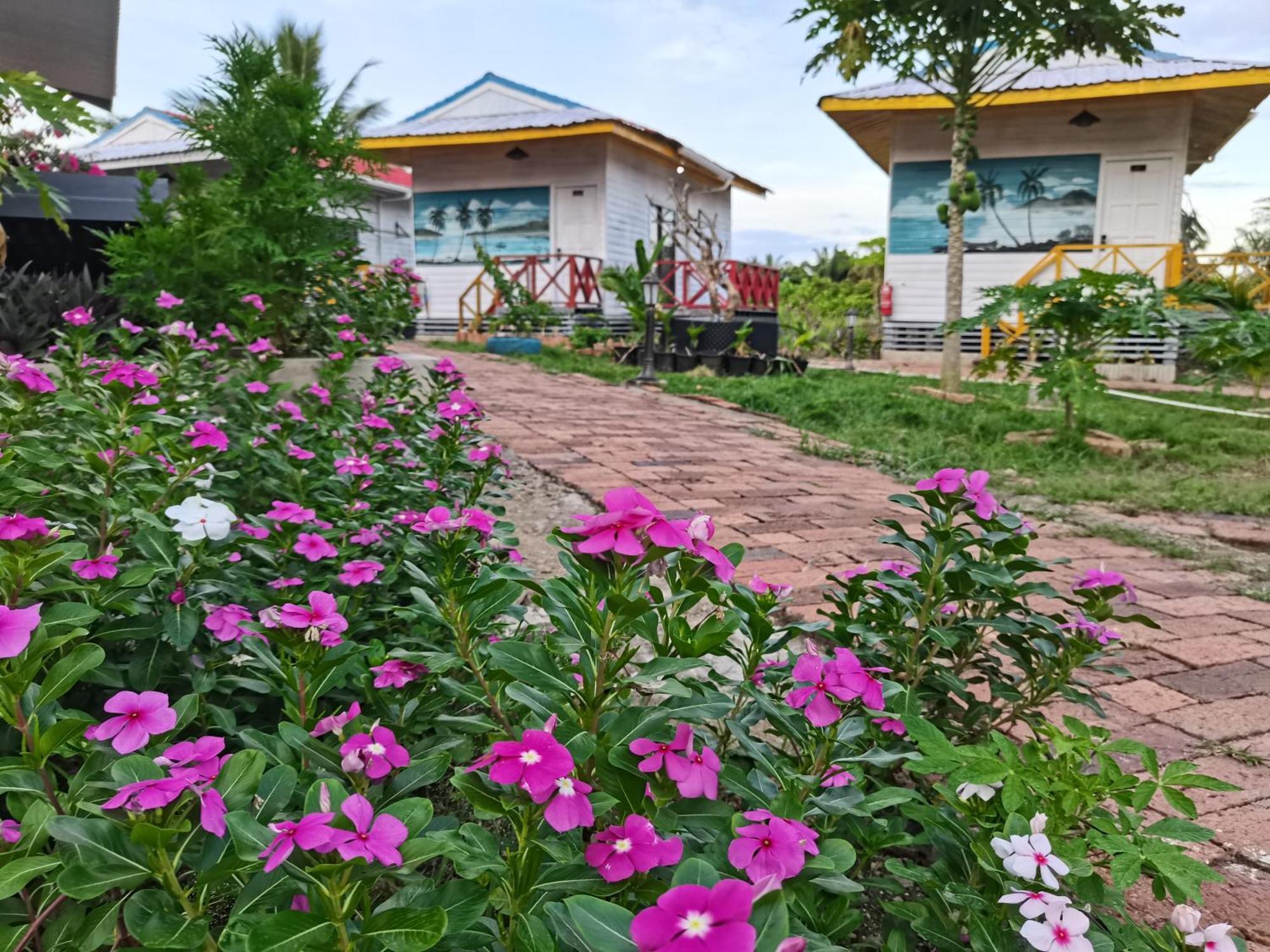 Shunde Palm Resort 仙本那顺德人家棕榈园 מראה חיצוני תמונה